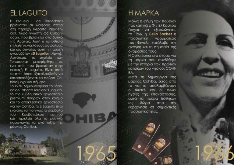 Στιγμιότυπο οθόνης 2023-10-03 082842