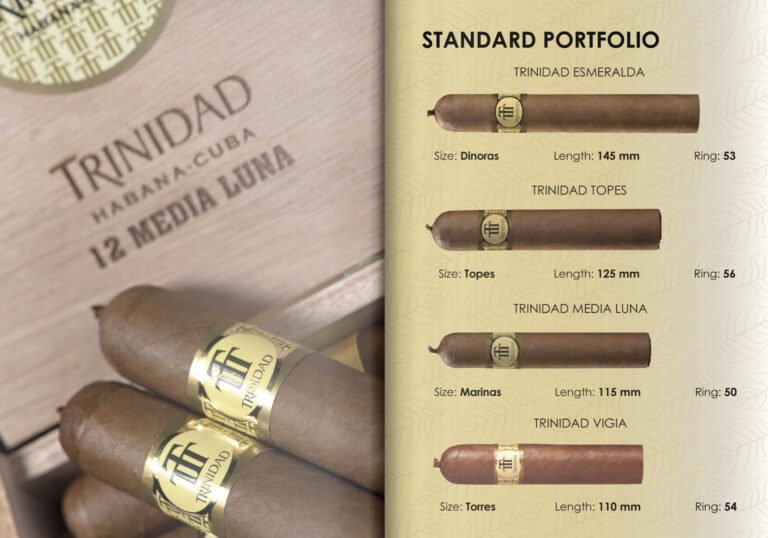 Στιγμιότυπο οθόνης 2023-10-03 090609